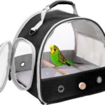 Bird Carrier, Portable Small Bird Parrot Parakeet Carrier with Standing Perch and Stainless Steel Tray, Side Access Window Collapsible (Black, Clear Windows)