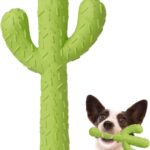 Durable Rubber Cactus Chew Toy for Small & Medium Aggressive Chewers, Training & Dental Cleaning Interactive Toy
