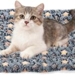 Dual-purpose cat and dog mat
