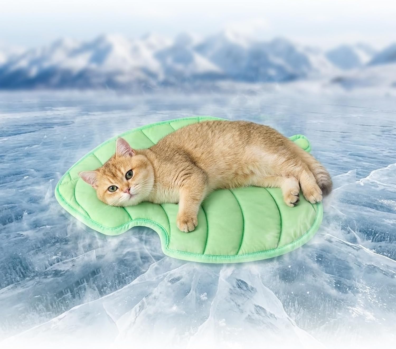 71Pmg3bwixL._AC_SL1500_.jpg Leaf-Shaped Pet Cooling Mat - Image 1
