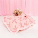 Waterproof puppy blanket for small dogs