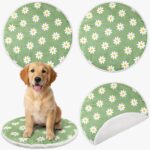 4-piece washable pet mat set
