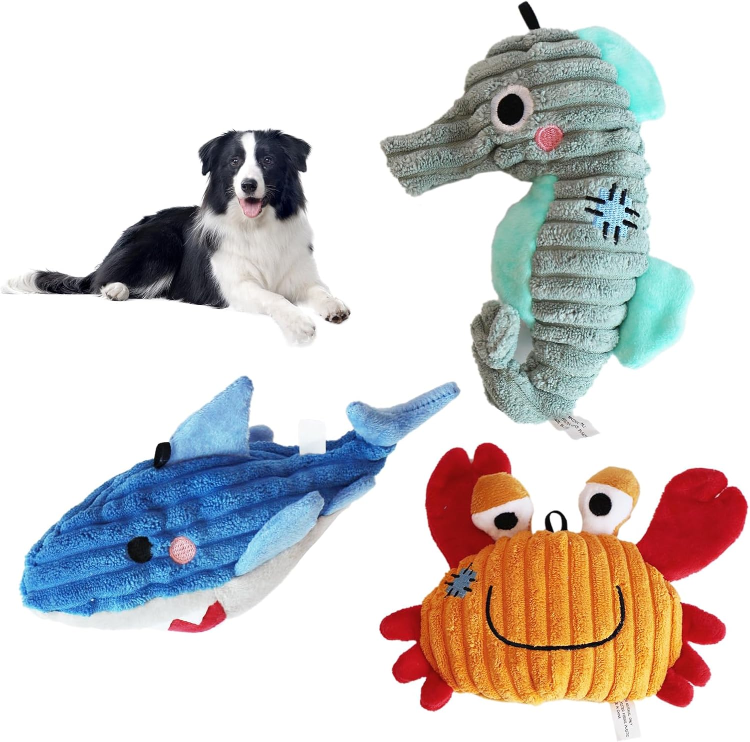 71tOBDqJh1L._AC_SL1500_.jpg 3-Pack Durable Fabric Crinkle & Squeaky Plush Chew Toys for Small & Medium Dogs and Puppies - Image 1