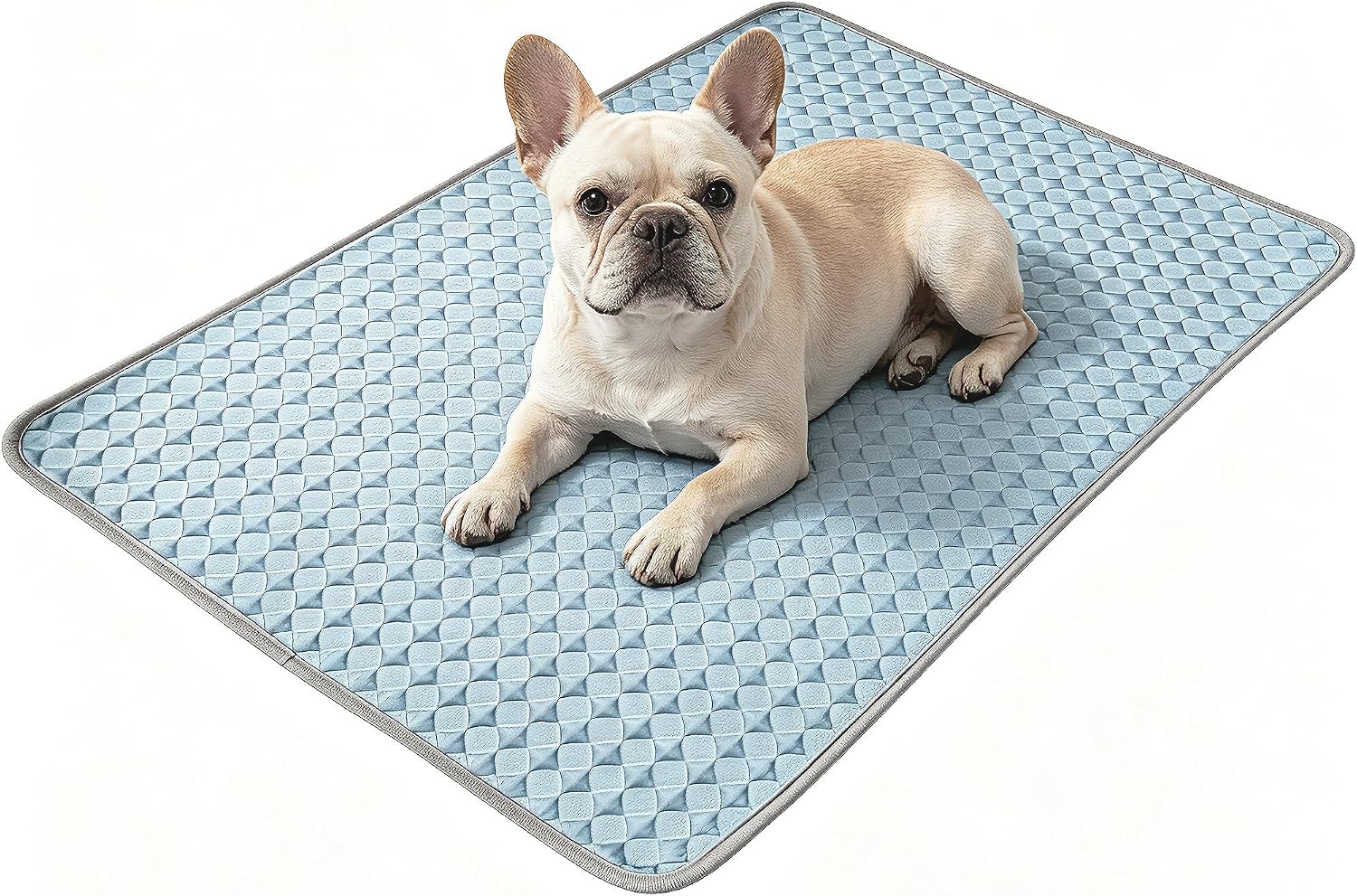 81LeEKWOA4L._AC_SL1500_.jpg Summer Cooling Mat for Cats and Dogs - Image 1