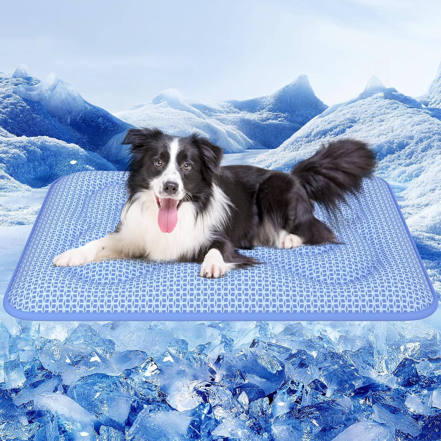 81vcMWfEO5L._AC_SL1500_.jpg Extra-Thick Reversible Dog Cooling Mat - Image 1